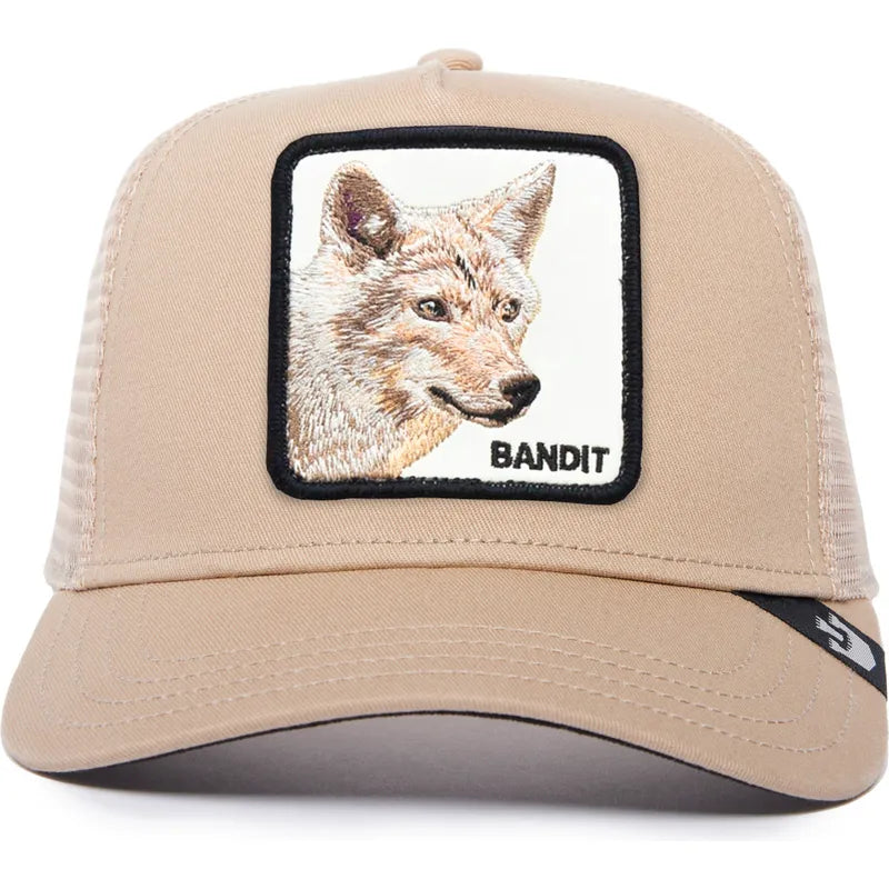 The Bandit Coyote