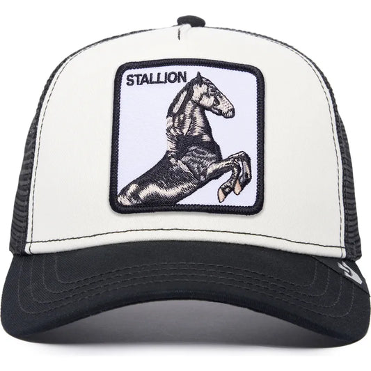Stallion